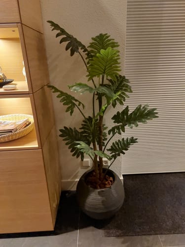 Customer photo review of Philodendron Kunstplant 130cm
