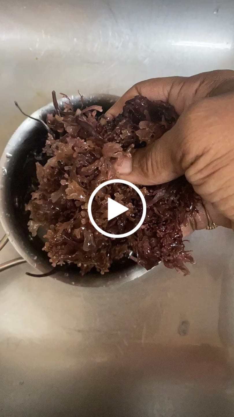 Customer video review of RAW SEA MOSS