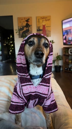 Customer photo review of Playa Poncho - Surprise Color