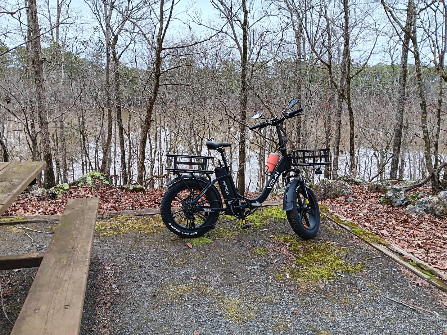 Customer photo review of U7 Step-thru Foldable Fat Tire Electric Bike