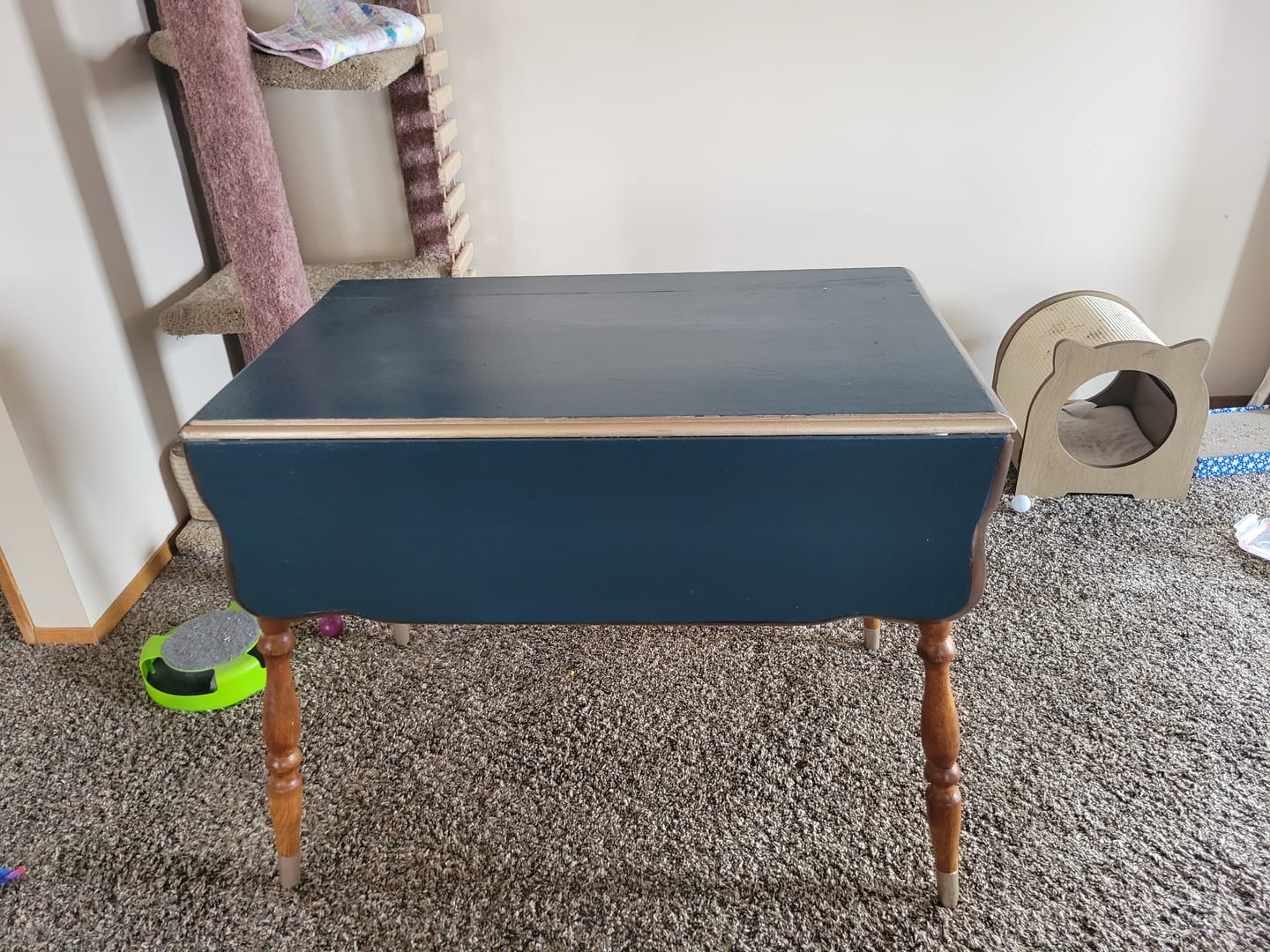 Customer photo review of FURNITURE STRIPPER KIT
