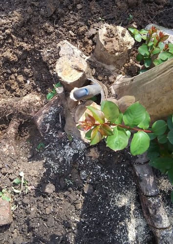 Customer photo review of Stihll Max - Turbo Mini-Kettensäge mit durchsetzungsstarken Moto