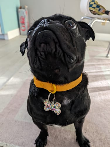 Customer photo review of I'd like to add a phone number!