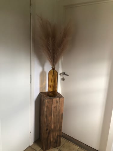 Fotorecensie van een klant over Faux Pampas 110cm (3 stengels)- Lichtbruin