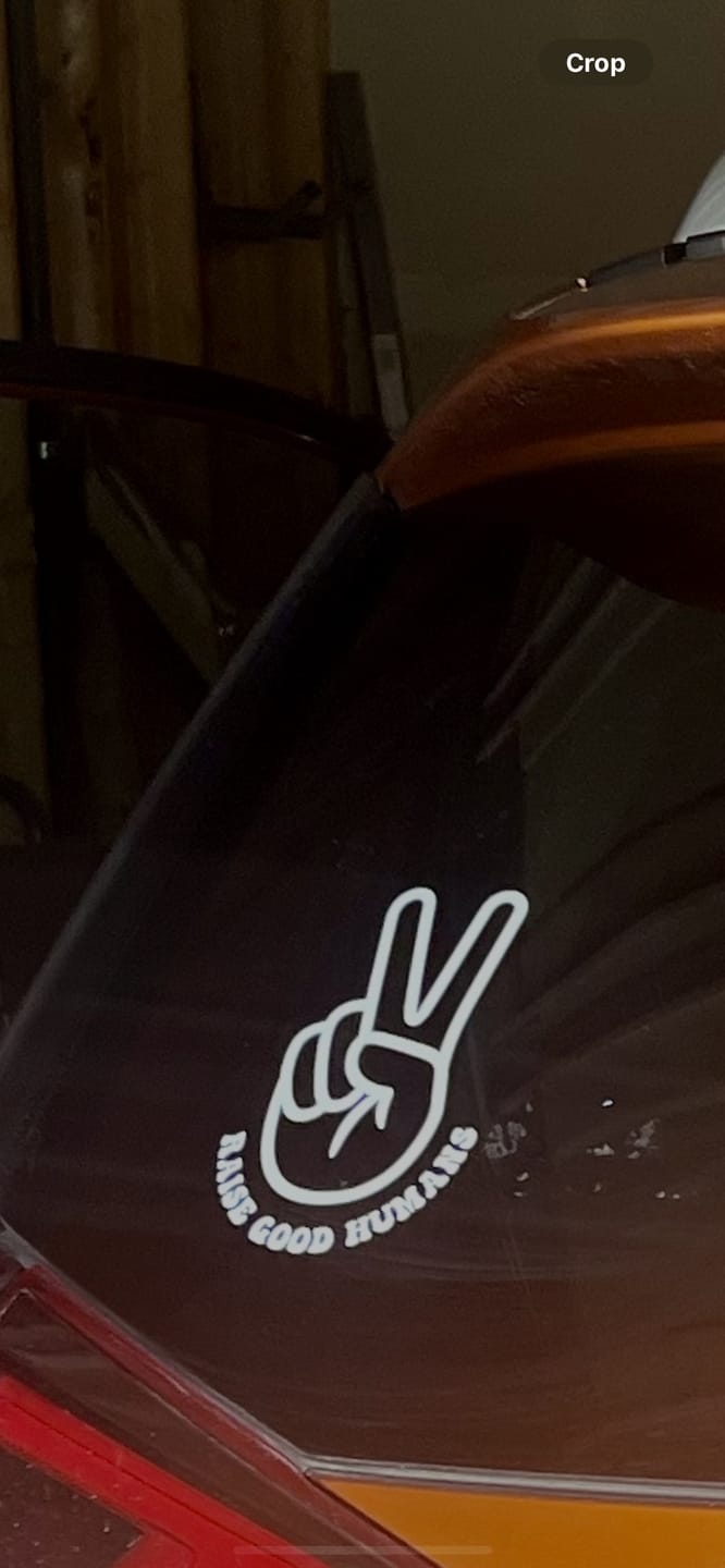 Customer photo review of RAISE GOOD HUMANS® Decal