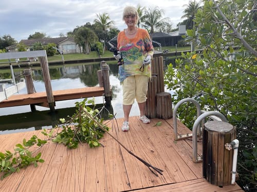 Customer photo review of Stihll Max - Turbo Mini-Kettensäge mit durchsetzungsstarken Moto