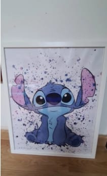 Customer photo review of Stitch