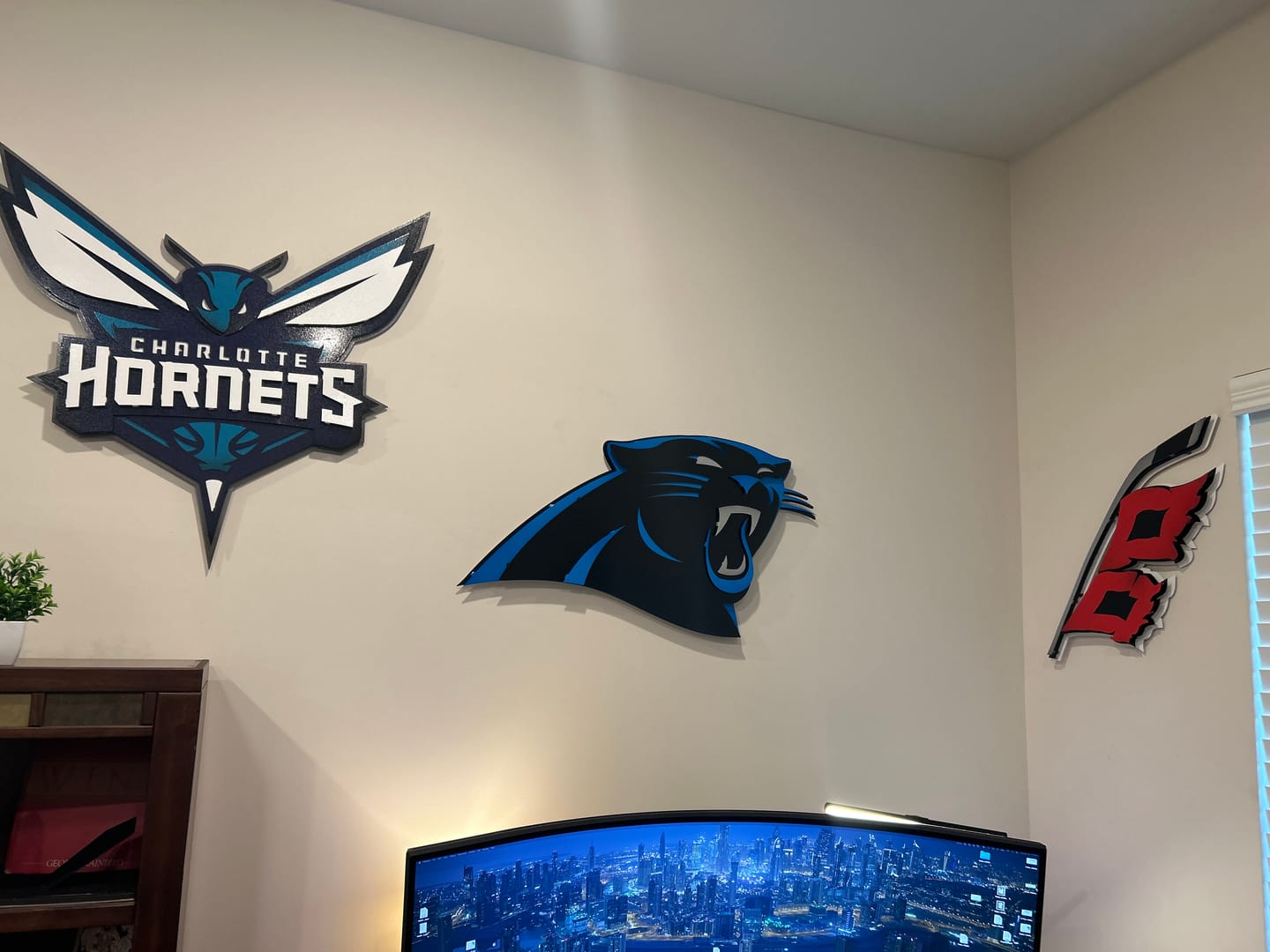 Customer photo review of Carolina Panthers 3D Vintage Metal Wall Art