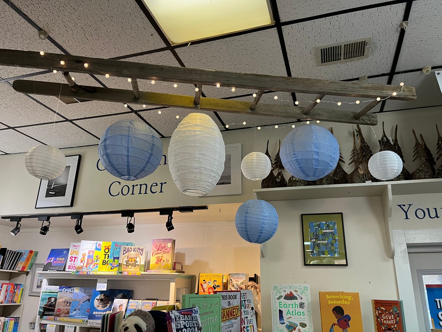Customer photo review of BLOWOUT 12" Irregular Ribbed Serenity Blue Shimmering Nylon Lantern, Durable, Hanging