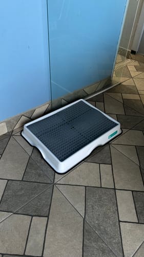 Customer photo review of Weasy Cão