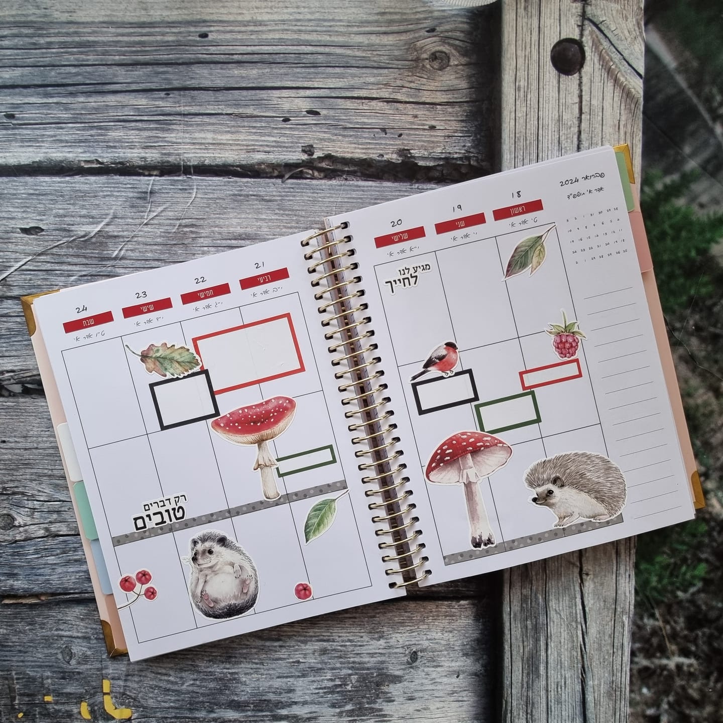 Customer photo review of Stickers - Hedgehog
