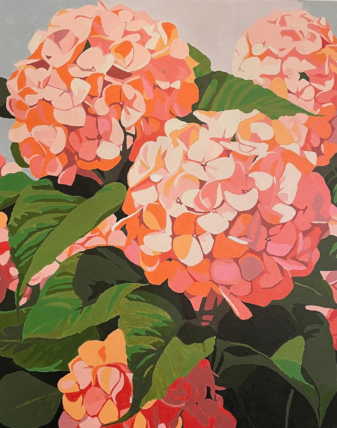 Customer photo review of Hydrangeas - Paint by Numbers