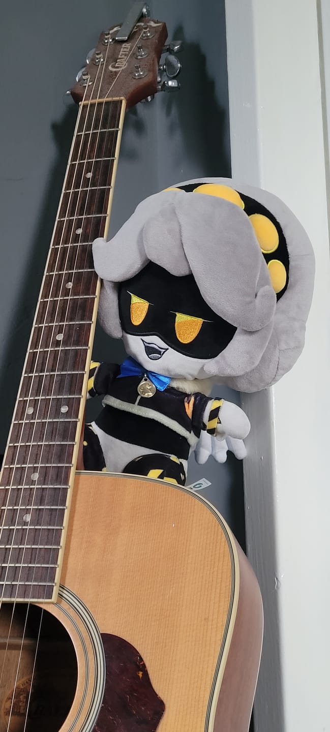 Customer photo review of V Plush