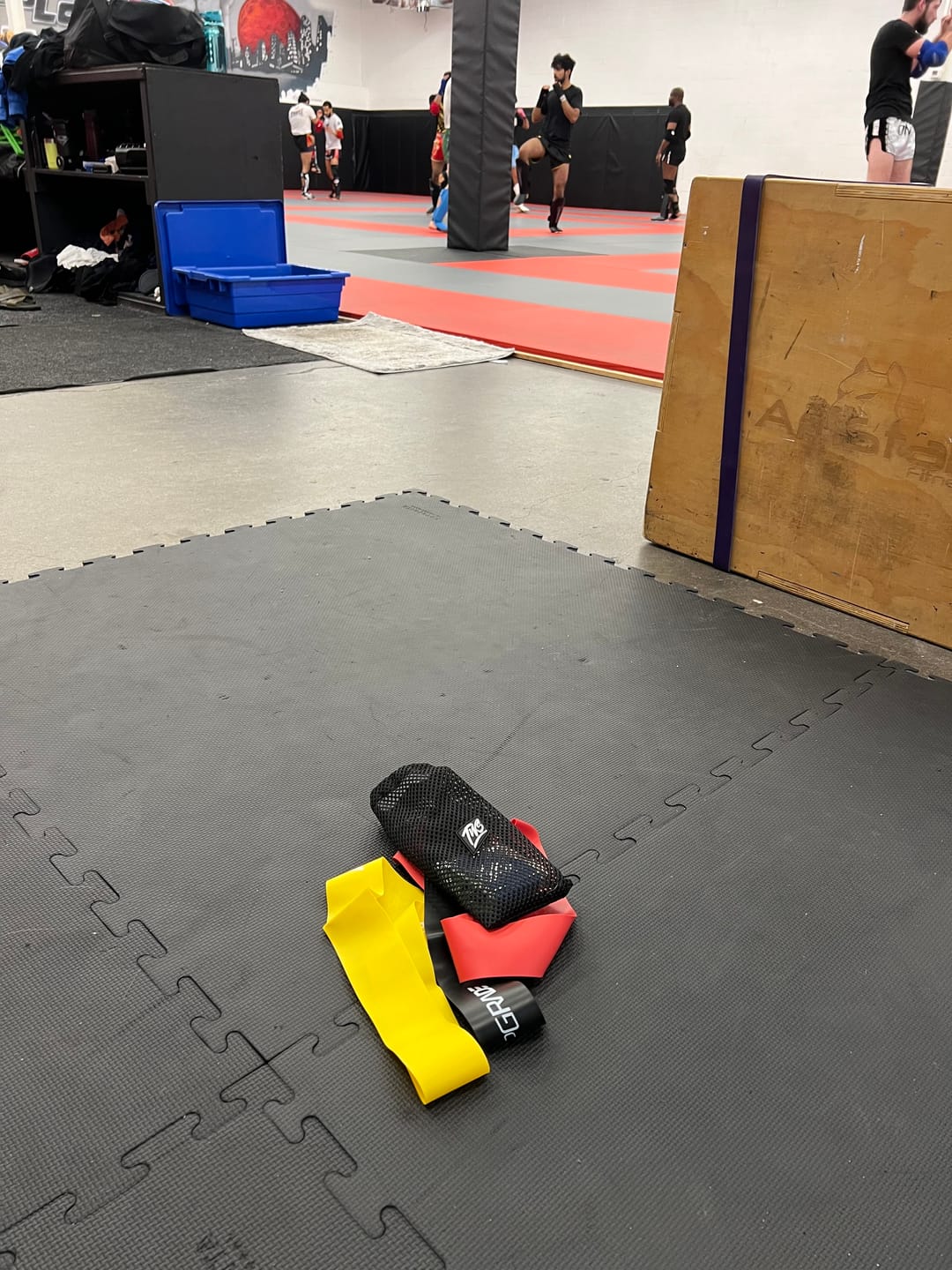 Customer photo review of TWS Glute Bands