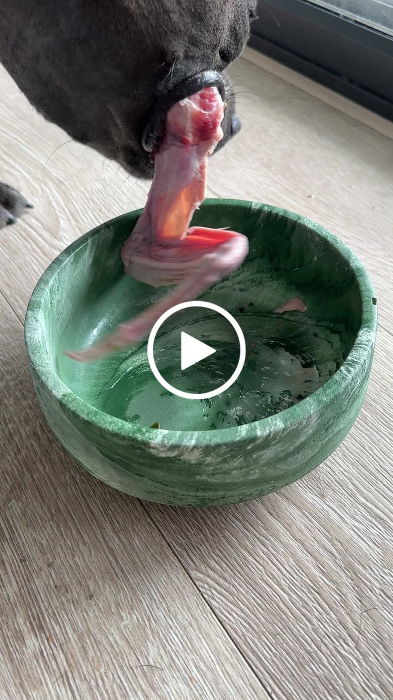 Customer video review of Pure Duck Wing