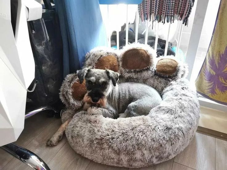 Customer photo review of Fluffy Paw