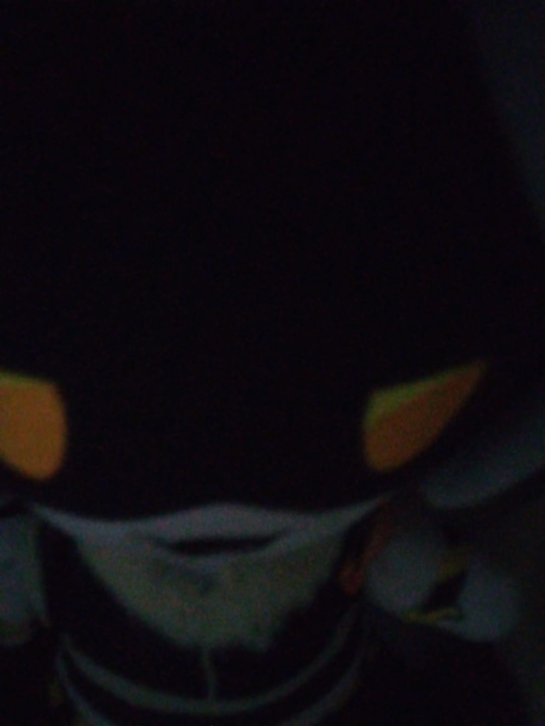 Customer photo review of V Plush