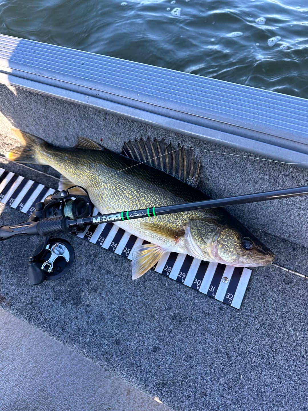 Customer photo review of Spinning Pre-Built Rod