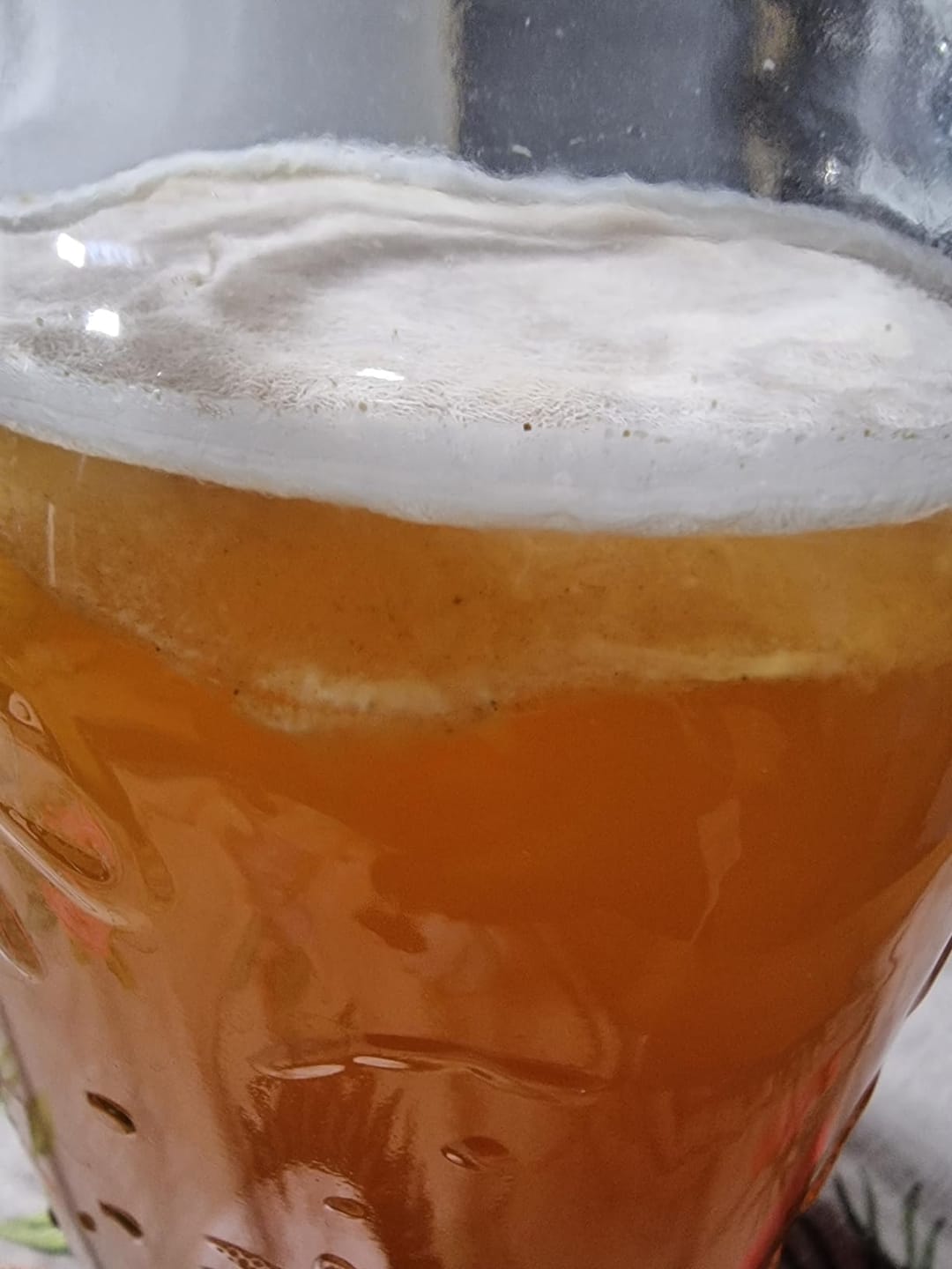 Customer photo review of Kombucha-Meisterkit: BIO Scoby & Starterflüssigkeit