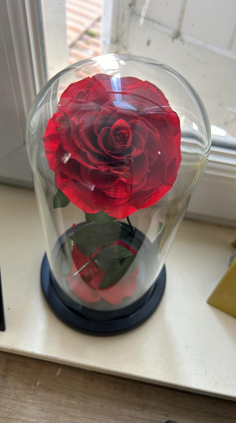 Customer photo review of Roses Éternelle Rouge sous Cloche