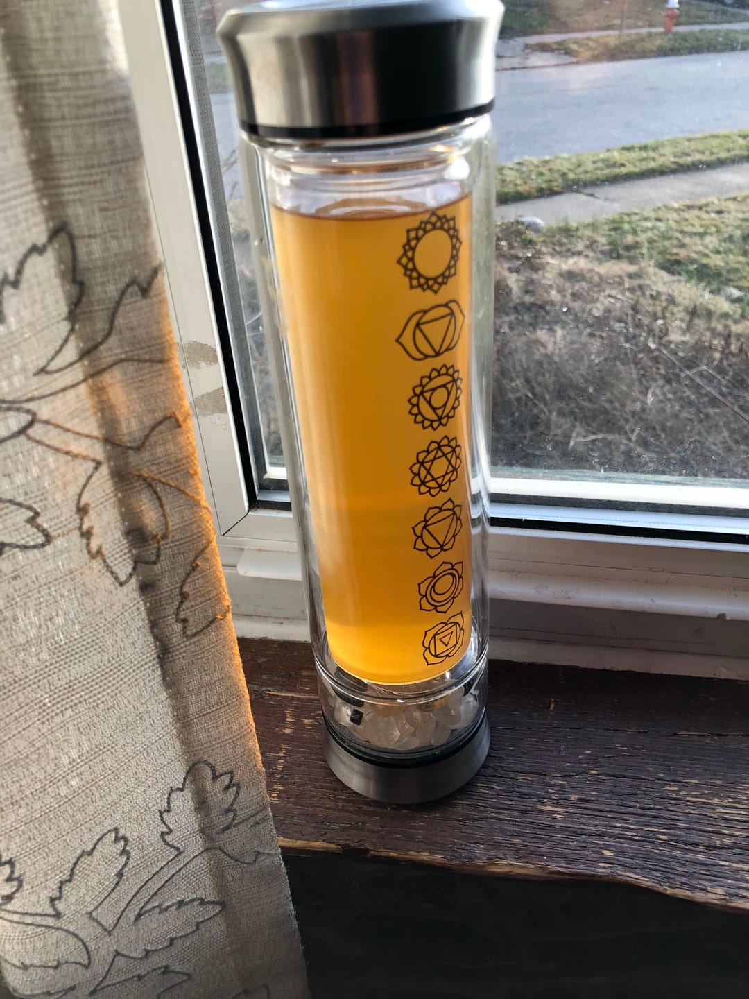 Customer photo review of St. Johns Bush