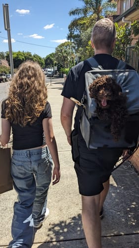 Customer photo review of All In One Pet Carrier Backpack Bundle | Backpack for Dogs & Cats | Dog Bike Basket | Car Booster Seat
