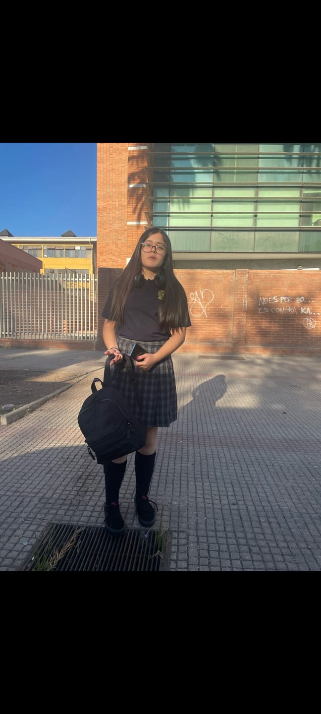 Customer photo review of Zapatilla Vans Sk8-Low Unisex Mono Negro
