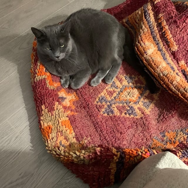 Customer photo review of Moroccan Kilim Pouf Floor Pouf Vintage