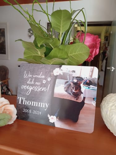 Customer photo review of Katzen Gedenktafel mit Foto & Spruch (UV- & Wetterfest)