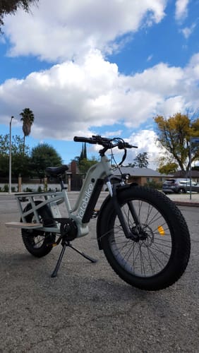Customer photo review of Yoto Lion Electric Family Cargo Bike