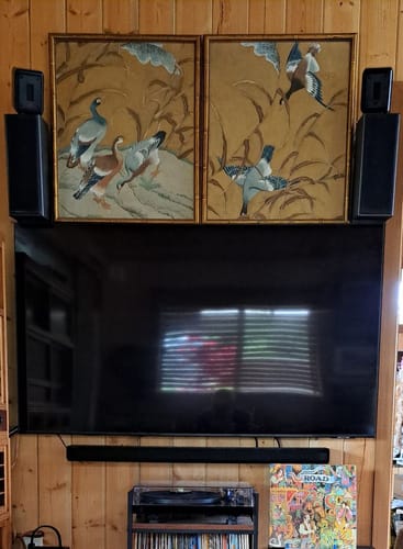 Customer photo review of Aperion PST Planar-Magnetic Ribbon Super Tweeter Speaker Pair MKII