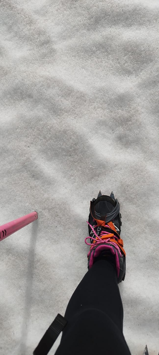 Customer photo review of Zapato Mujer Rigel Mid 3Q12946