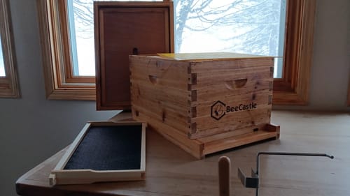 Customer photo review of BeeCastle Professional Beekeeping Starter Kit:Complete 10 Frame Deep Brood Bee Box with 22 Essential Beekeeping Equipment for Beekeeping Enthusiasts