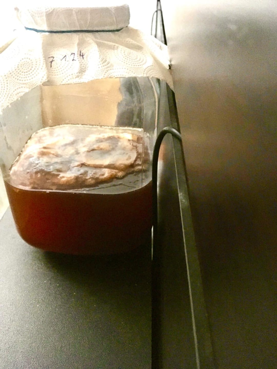 Customer photo review of Kombucha-Meisterkit: BIO Scoby & Starterflüssigkeit