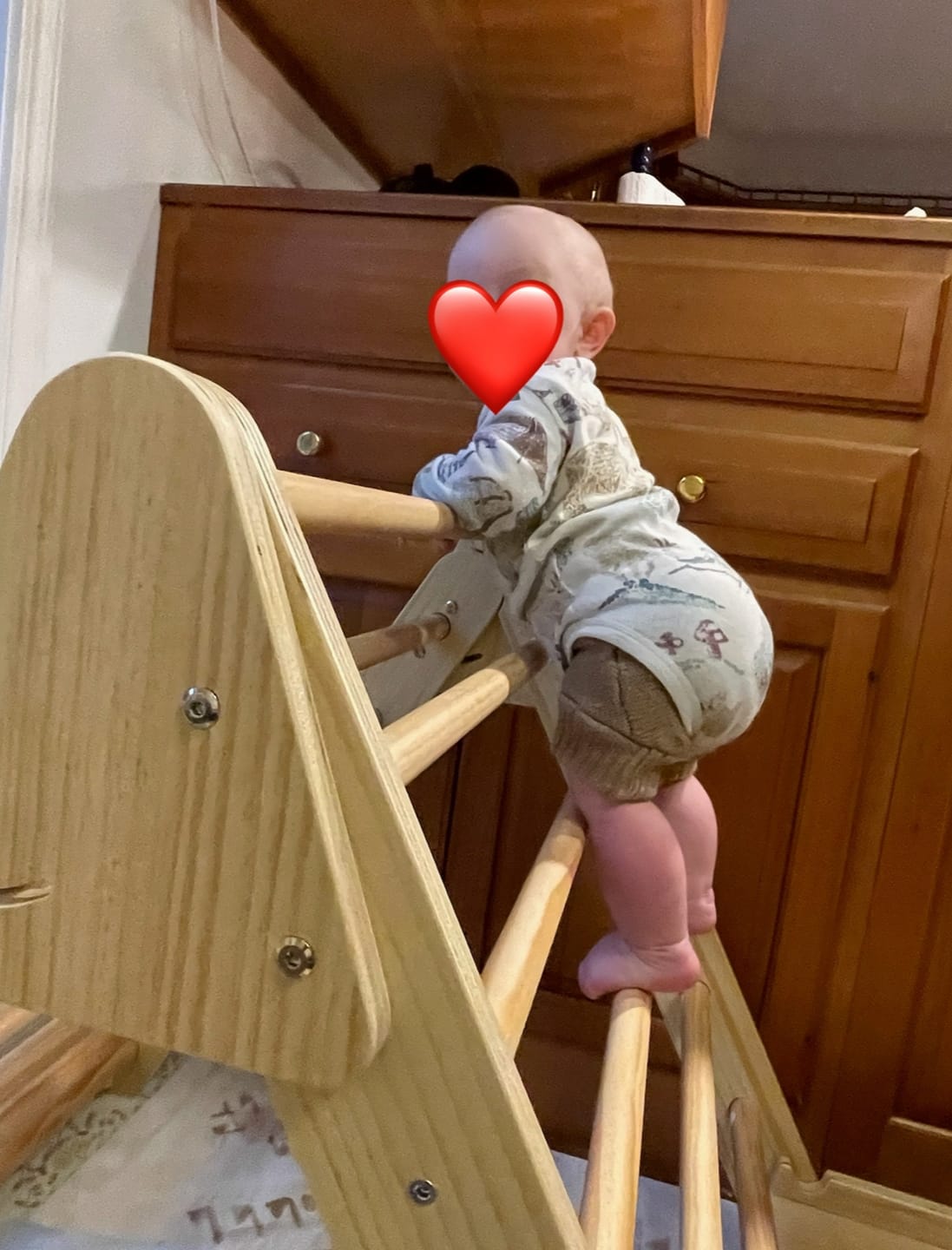 Customer photo review of Hazel - Pikler Triangle Ladder & Rocker Set