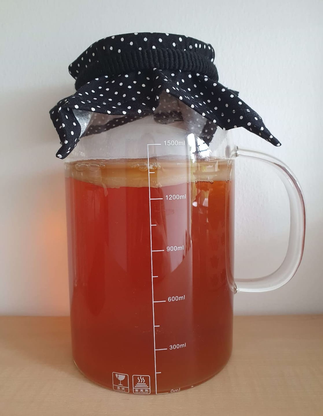 Customer photo review of Kombucha-Meisterkit: BIO Scoby & Starterflüssigkeit