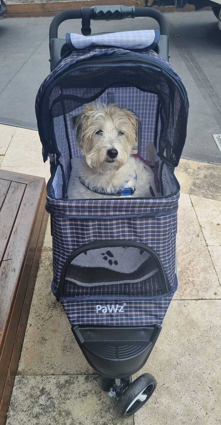 Customer photo review of PaWz Large Dog Stroller - 3 Wheels