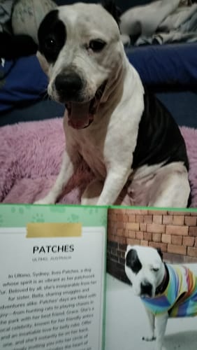 Customer photo review of Cutest Pets of the Month 2024 Photobook