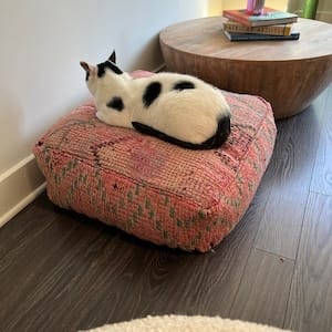 Customer photo review of Moroccan Kilim Pouf Floor Pouf Vintage