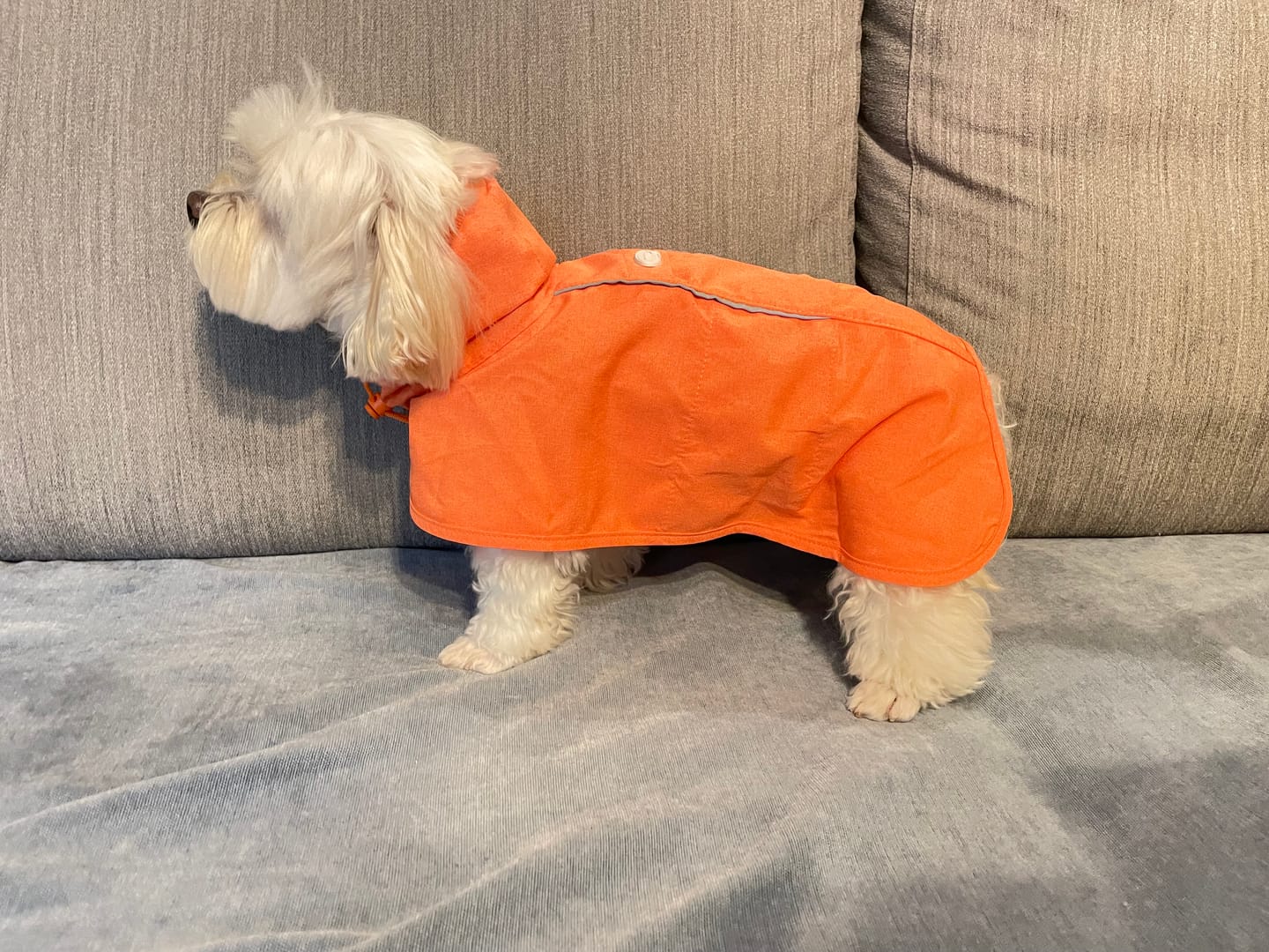 Customer photo review of Outdoor Water-Resist Coat