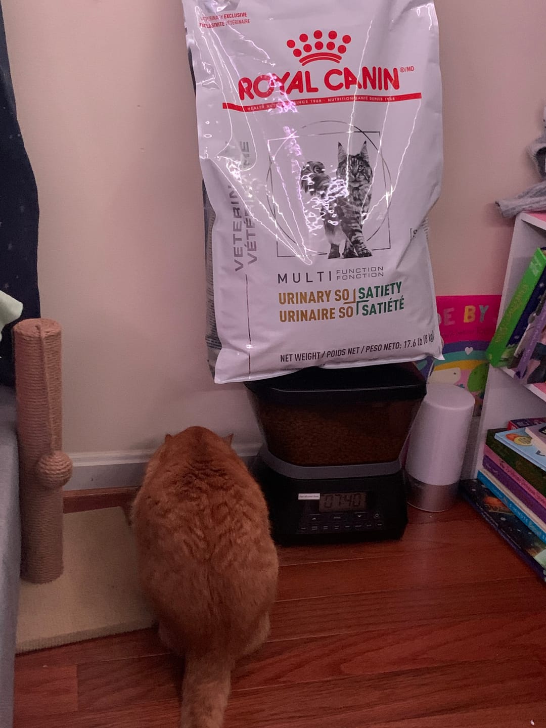 Customer photo review of Royal Canin Veterinary Diet - Urinary SO+ Satiety Dry Cat Food