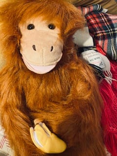 Customer photo review of Orang-Outan Singe Marionnette