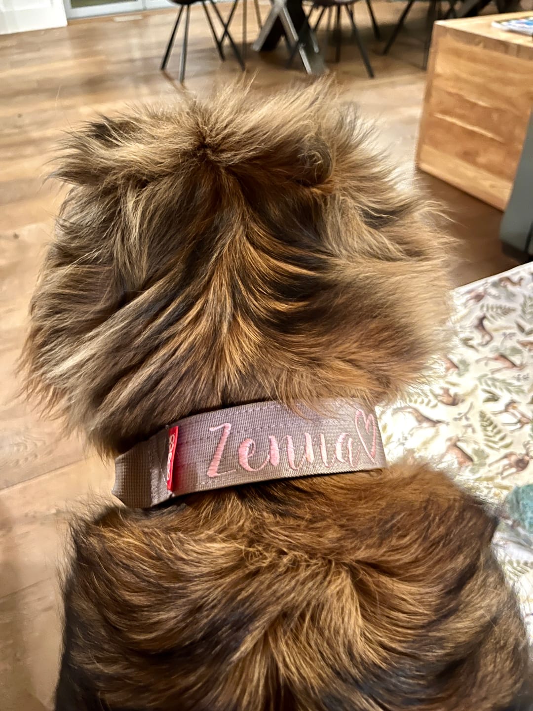 Customer photo review of 1.5" Tacti Dog Collar Slim Luxe - Rose Gold - Sofia