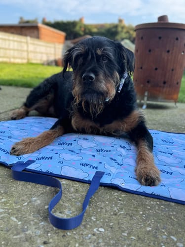 Customer photo review of Travel Mat - Eeyore