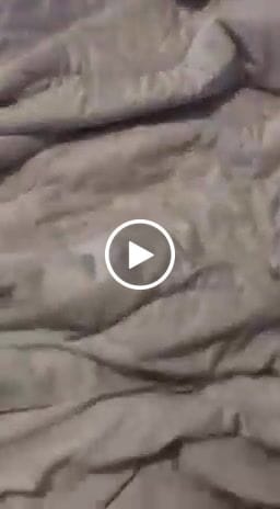 Customer video review of The Ice Blanket