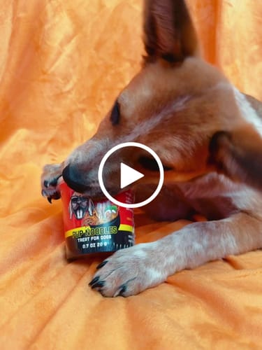 Customer video review of Pup Noodles (Ships This Month!)