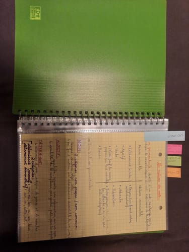 Avis photo d'un client sur OXFORD Protège-Documents à spirale School Life A5 # 80 vues / 40 pochettes - Coloris toniques.