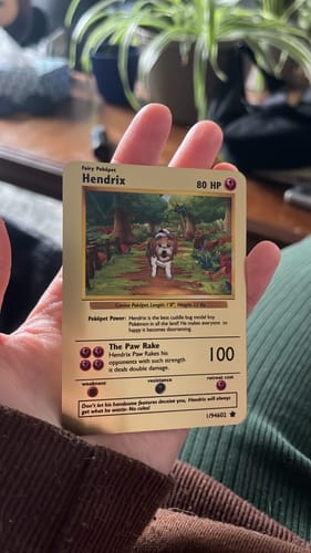 Customer photo review of Product options