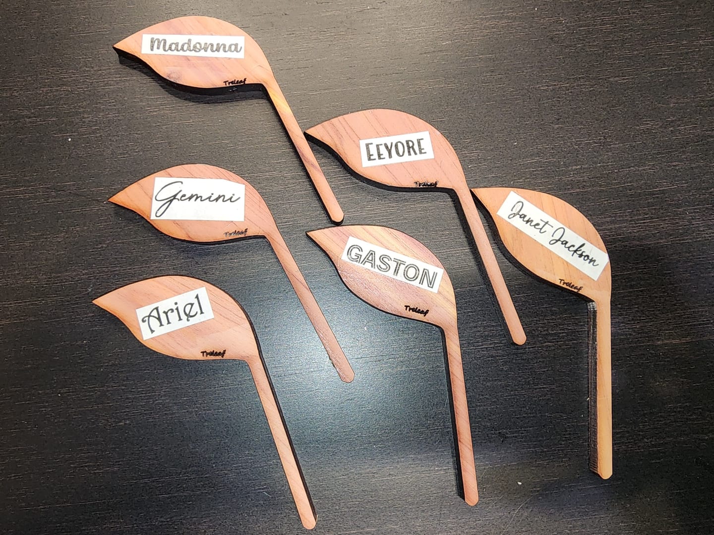 Customer photo review of Folia - Wooden plant tags