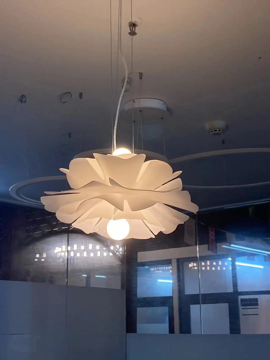 Customer photo review of WOMO Flower Pendant Light-WM2054